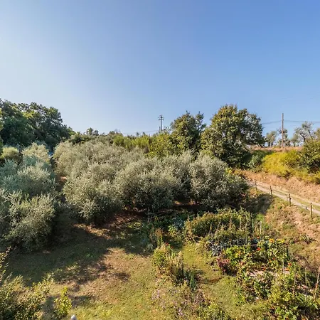 Appartamento With View And Garden - Quercia