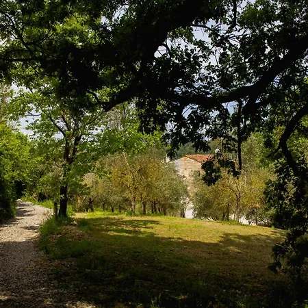 With View And Garden - Quercia *