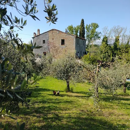 Appartamento With View And Garden - Quercia Ghizzano