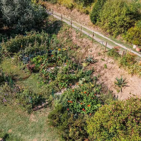 With View And Garden - Quercia