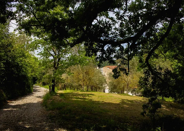 With View And Garden - Quercia *